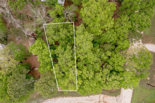 Lt 194 Evergreen, Livingston, TX 77351