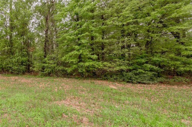 Lt 194 Evergreen, Livingston, TX 77351