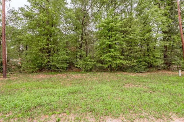 Lt 194 Evergreen, Livingston, TX 77351