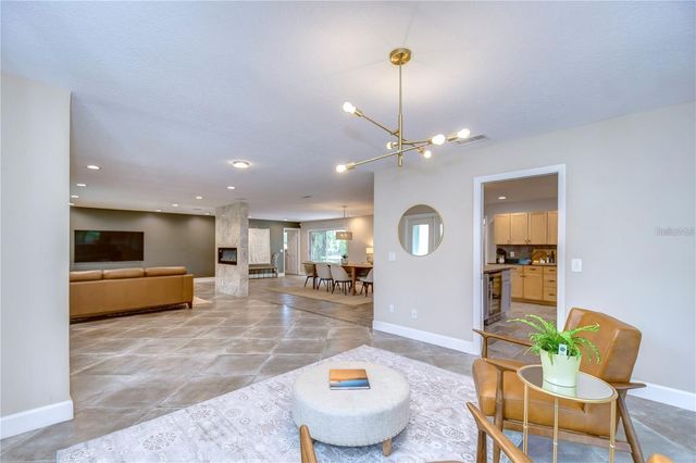 10113 LINDELAAN DRIVE, Tampa, FL 33618