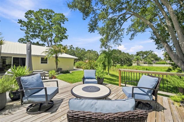 10113 LINDELAAN DRIVE, Tampa, FL 33618