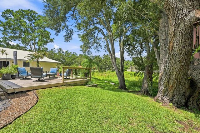 10113 LINDELAAN DRIVE, Tampa, FL 33618