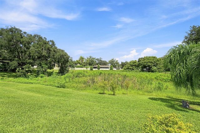 10113 LINDELAAN DRIVE, Tampa, FL 33618