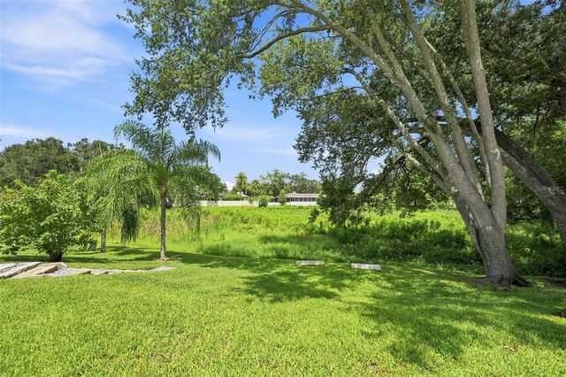 10113 LINDELAAN DRIVE, Tampa, FL 33618
