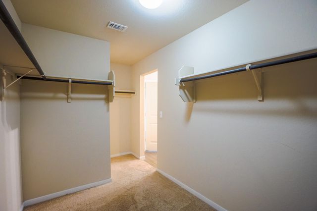 12117 Greywacke DR, Manor, TX 78653