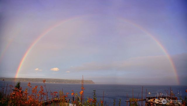 1043 Village Loop, Langley, WA 98260