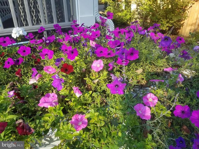 5612 OAK PL, Bethesda, MD 20817