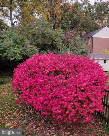 5612 OAK PL, Bethesda, MD 20817