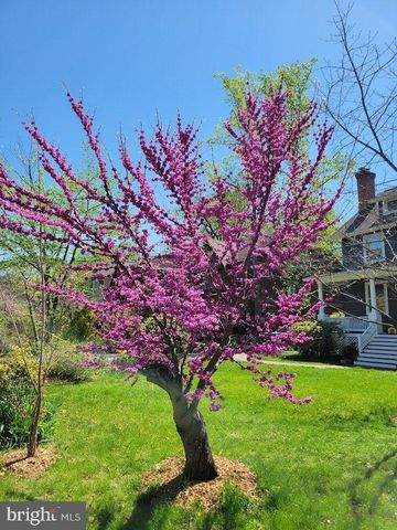 5612 OAK PL, Bethesda, MD 20817