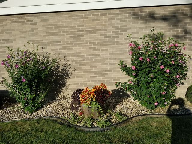 16417 66th Court, Tinley Park, IL 60477