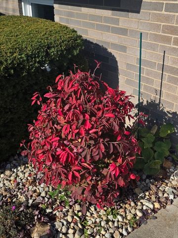 16417 66th Court, Tinley Park, IL 60477