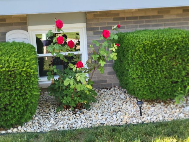 16417 66th Court, Tinley Park, IL 60477