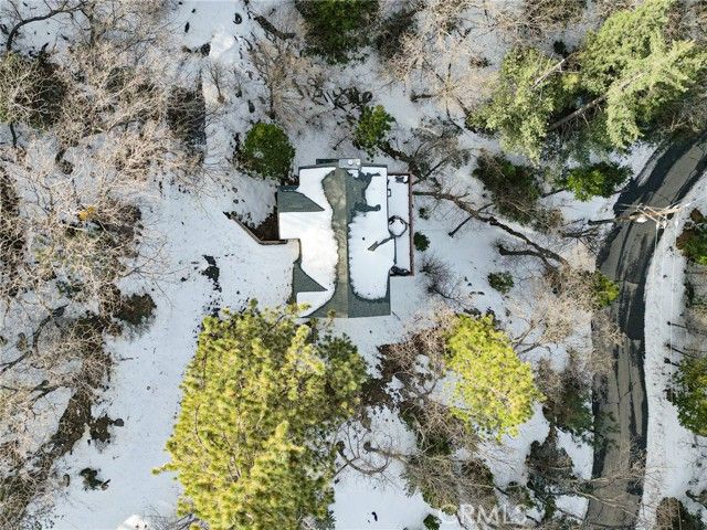 1419 Calgary, Lake Arrowhead, CA 92352