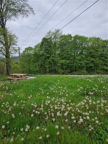 765 State Highway 205, Oneonta, NY 13820