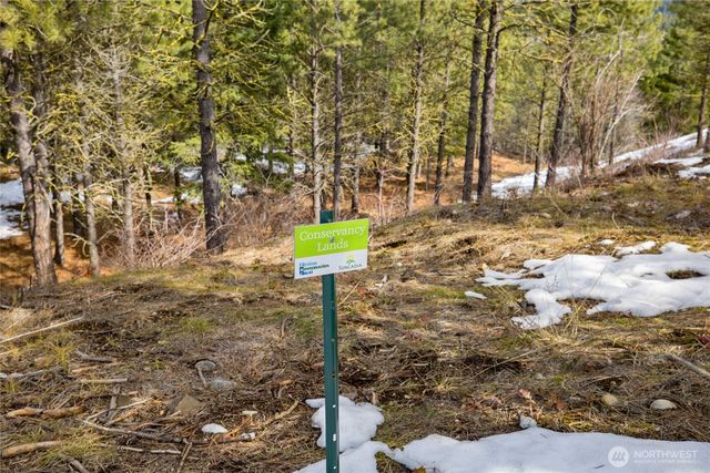 541 Gold Leaf Lane, Cle Elum, WA 98922