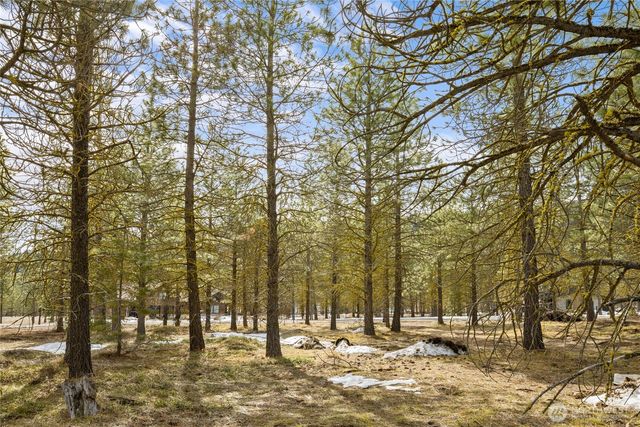 541 Gold Leaf Lane, Cle Elum, WA 98922