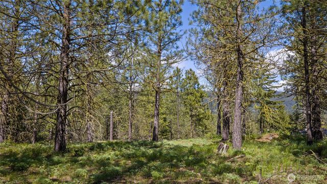 541 Gold Leaf Lane, Cle Elum, WA 98922