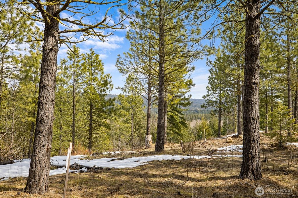 541 Gold Leaf Lane, Cle Elum, WA 98922