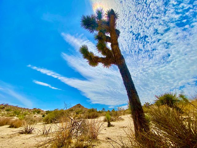 104 Bandera Road, Yucca Valley, CA 92284