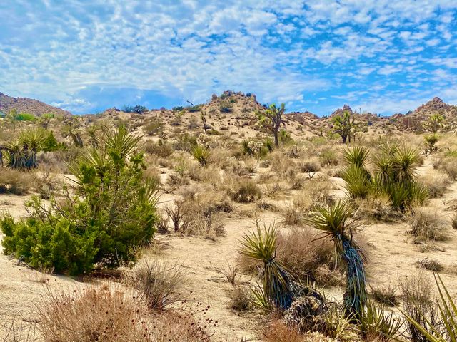 104 Bandera Road, Yucca Valley, CA 92284