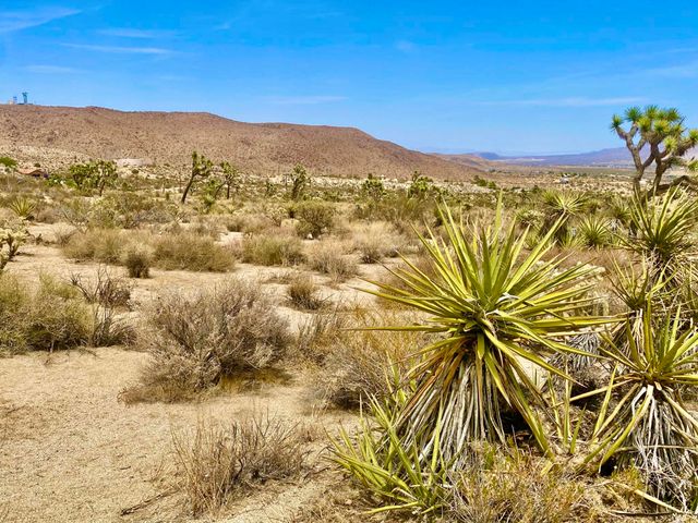 104 Bandera Road, Yucca Valley, CA 92284