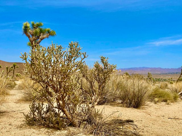 104 Bandera Road, Yucca Valley, CA 92284