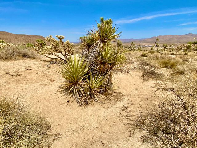 104 Bandera Road, Yucca Valley, CA 92284