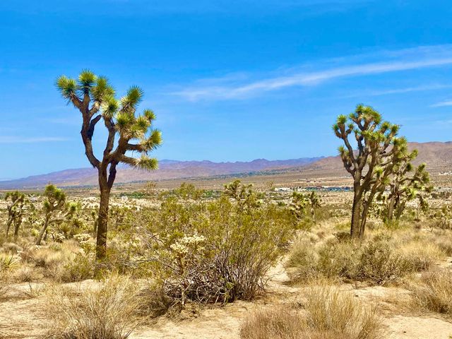 104 Bandera Road, Yucca Valley, CA 92284