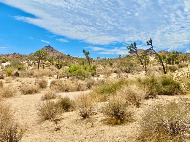 104 Bandera Road, Yucca Valley, CA 92284