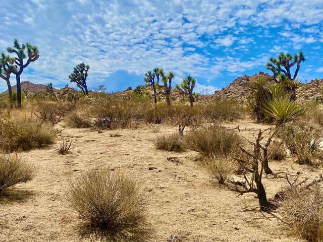 104 Bandera Road, Yucca Valley, CA 92284
