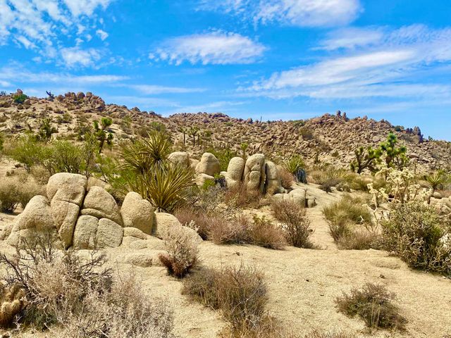 104 Bandera Road, Yucca Valley, CA 92284