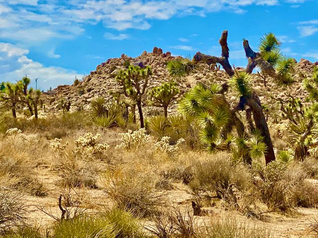 104 Bandera Road, Yucca Valley, CA 92284