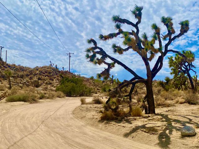 104 Bandera Road, Yucca Valley, CA 92284