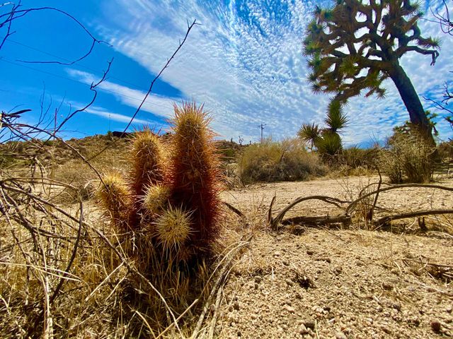 104 Bandera Road, Yucca Valley, CA 92284
