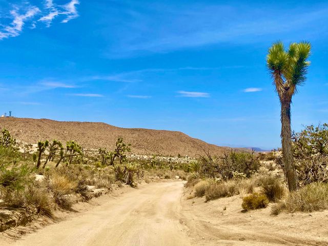 104 Bandera Road, Yucca Valley, CA 92284