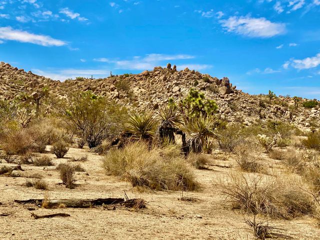 104 Bandera Road, Yucca Valley, CA 92284