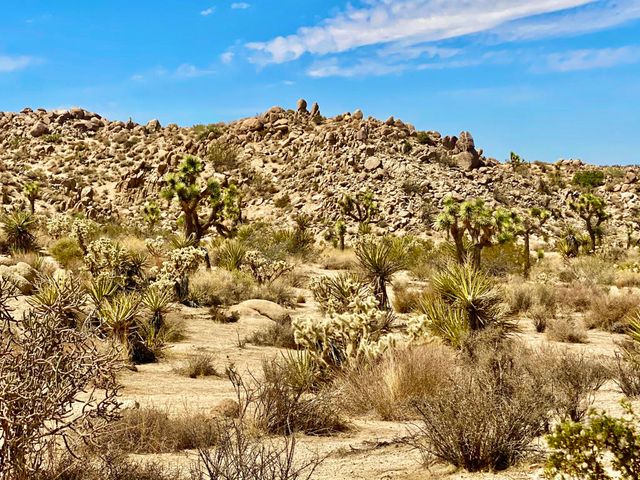 104 Bandera Road, Yucca Valley, CA 92284