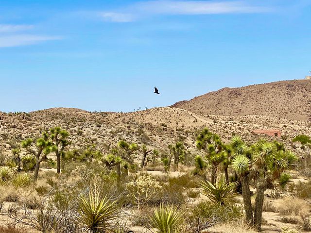 104 Bandera Road, Yucca Valley, CA 92284