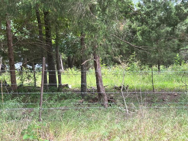 0 W George Durham Rd, Westmoreland, TN 37186