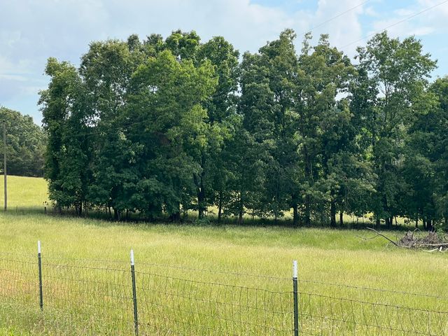 0 W George Durham Rd, Westmoreland, TN 37186