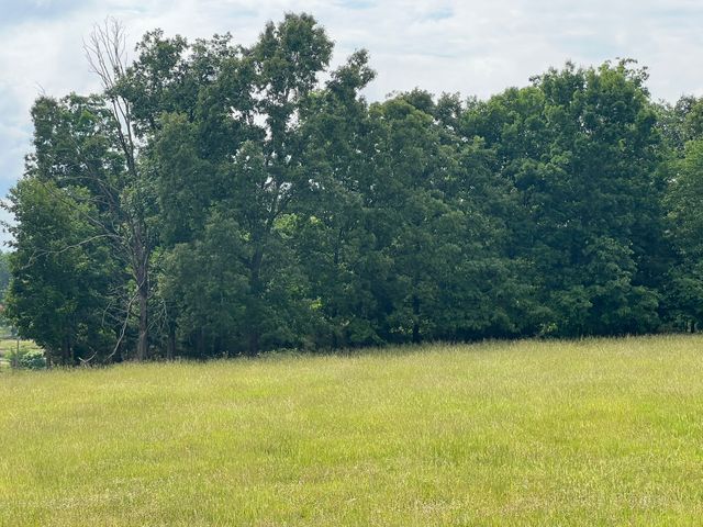 0 W George Durham Rd, Westmoreland, TN 37186
