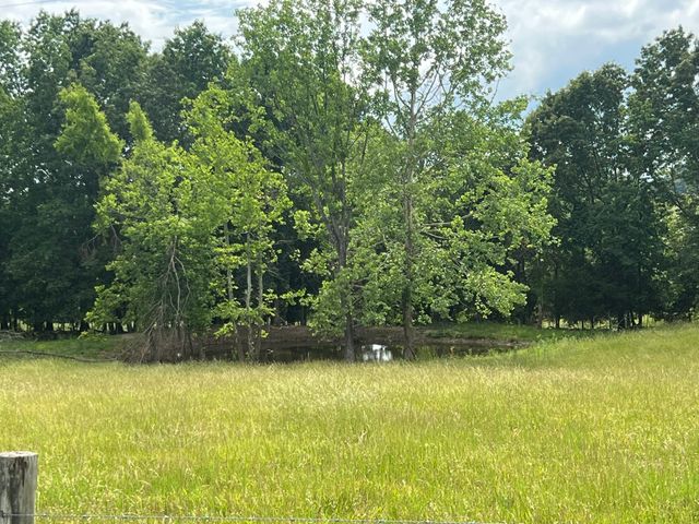 0 W George Durham Rd, Westmoreland, TN 37186