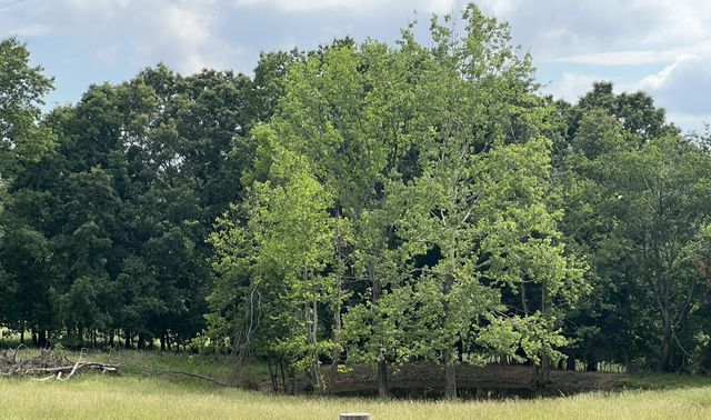 0 W George Durham Rd, Westmoreland, TN 37186