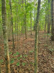 1 Lewis Ford Road, Brookneal, VA 24528