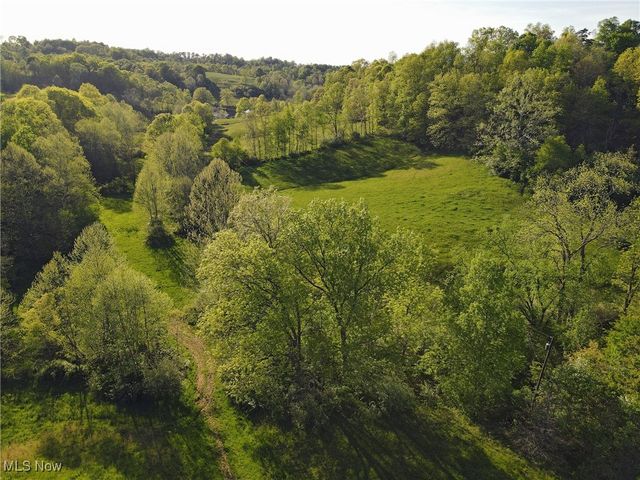 1429 Willow Run Road, Belleville, WV 26133