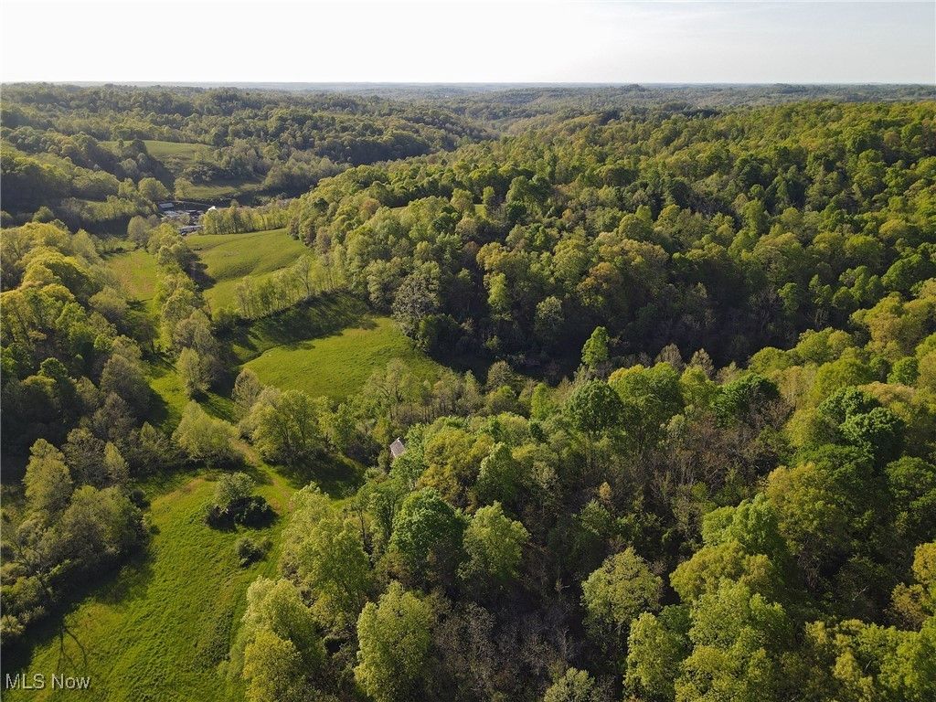 1429 Willow Run Road, Belleville, WV 26133