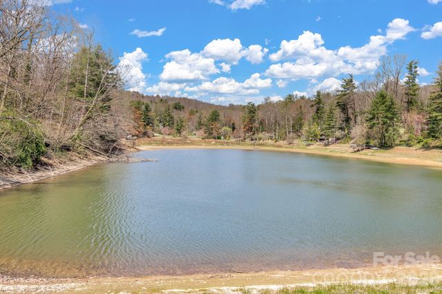 74 S Alta Vista Drive, Saluda, NC 28773