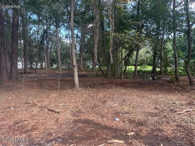 9 Horton Trail, Beaufort, SC 29906