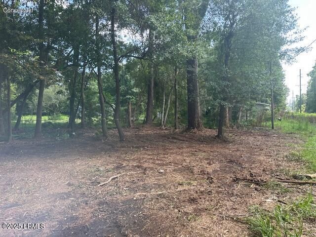 9 Horton Trail, Beaufort, SC 29906