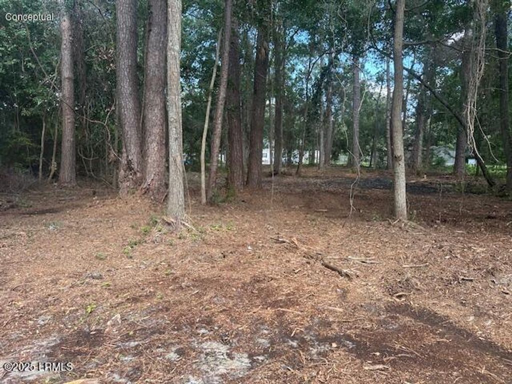 9 Horton Trail, Beaufort, SC 29906